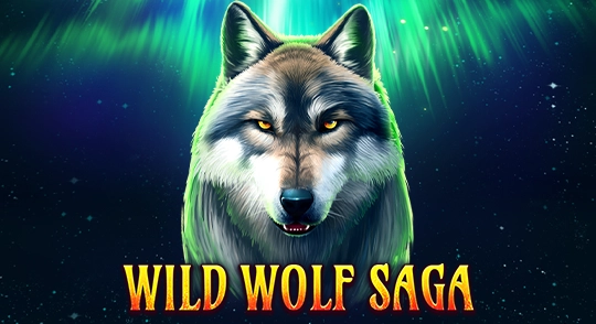 4-gamenew-wilbet-img