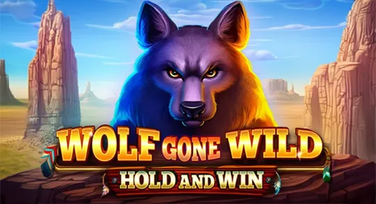 3-gametop-wollix-img